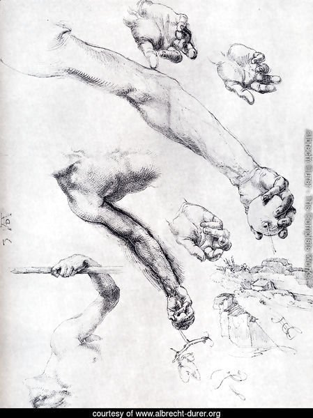 Three Studies From Nature For Adam's Arms In The 1504