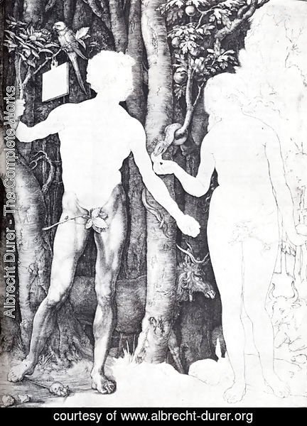 Albrecht Durer - Adam And Eve I