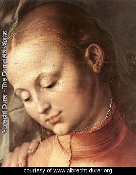Albrecht Durer - Madonna with the Siskin (detail 3) (2)