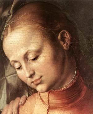 Albrecht Durer - Madonna with the Siskin (detail 3) (2)