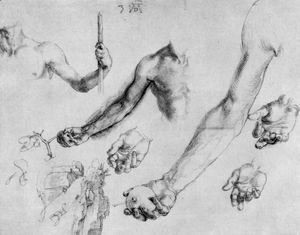 Study of male hands and arms
