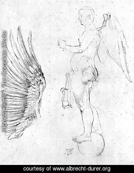 Albrecht Durer - Study to a large fortune
