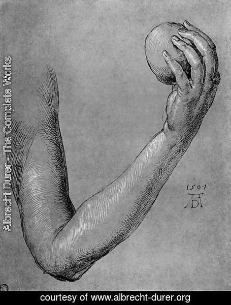 Albrecht Durer - Arm of Eve