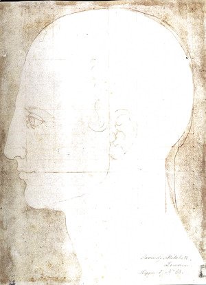 Albrecht Durer - Man's head in profile