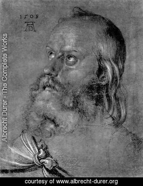 Albrecht Durer - Head of an apostle