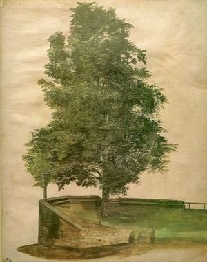 Albrecht Durer - Linden Tree on a Bastion