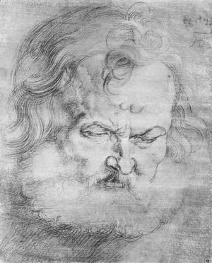 Albrecht Durer - Head of Peter