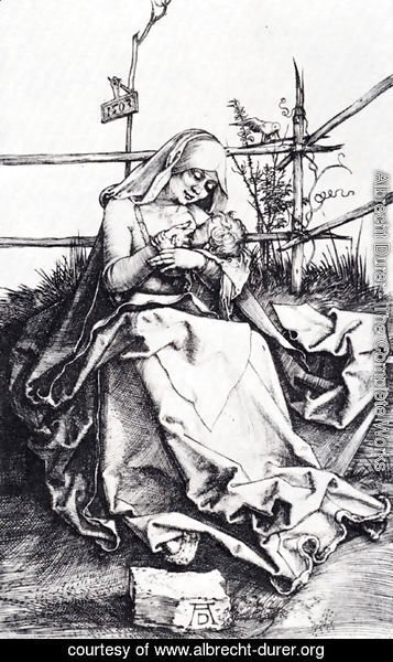Albrecht Durer - Madonna On A Grassy Bench