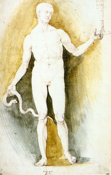 Male Nude with a Glass and Snake, so-called Asclepius