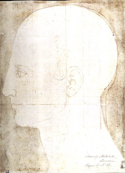 Man's head in profile