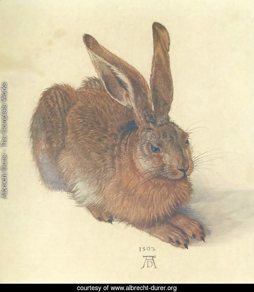 Young Hare I