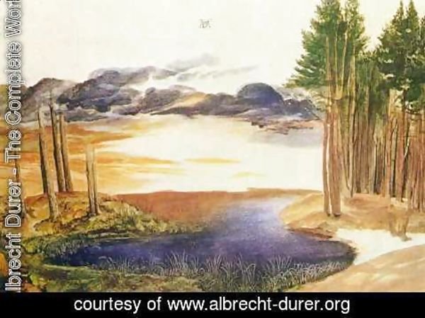 Albrecht Durer - Pond in the Woods