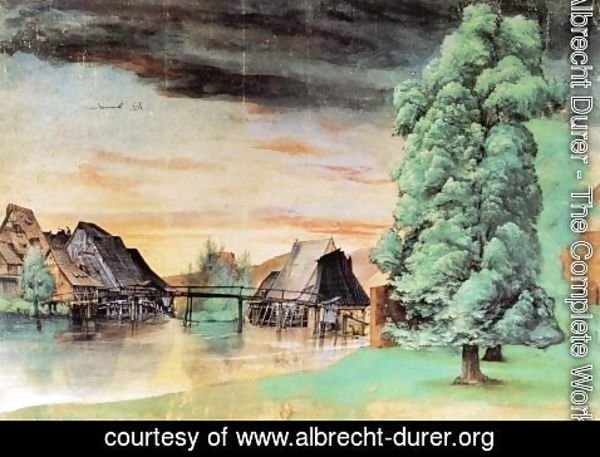 Albrecht Durer - Willow Mill