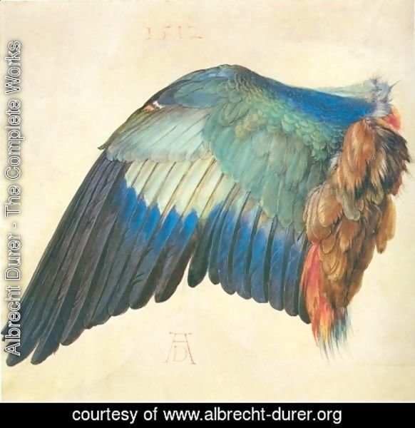 Albrecht Durer - Wing of a Roller