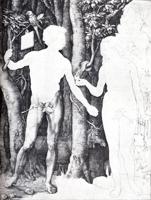Albrecht Durer - Adam And Eve