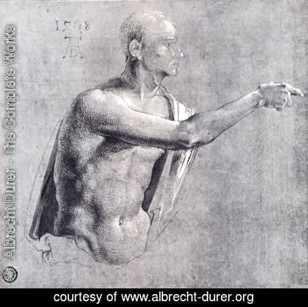 Albrecht Durer - Male Nude, Half Length