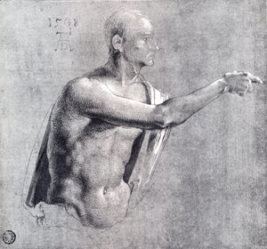 Albrecht Durer - Male Nude, Half Length