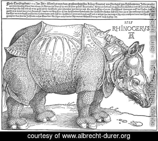 Albrecht Durer - Rhinoceros