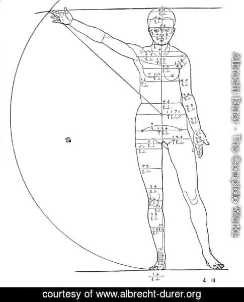 Albrecht Durer - Figure of Woman Shown in Motion