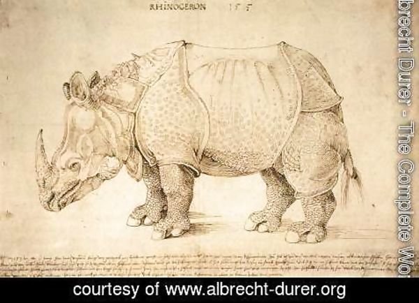 Albrecht Durer - Rhinoceros 2