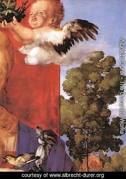 Albrecht Durer - Madonna with the Siskin (detail) 3