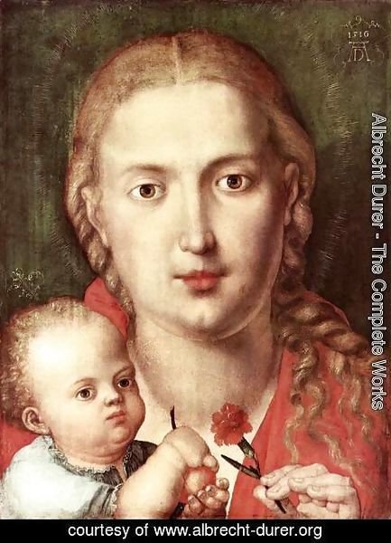 Albrecht Durer - The Madonna of the Carnation 2