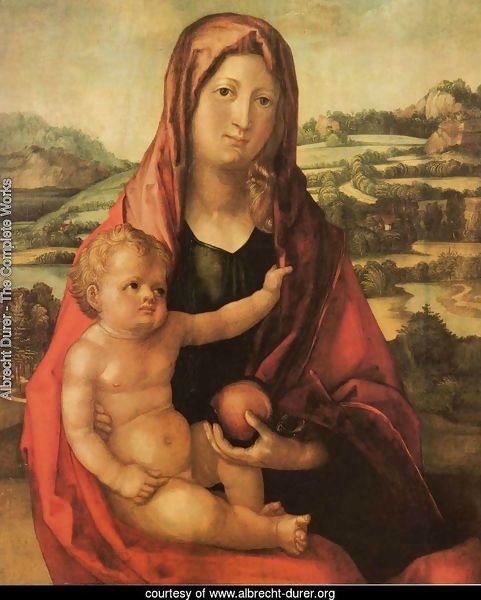 Virgin and Child before a Landscape