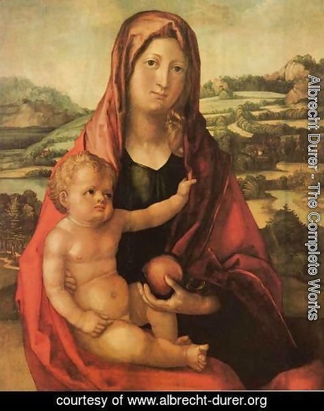 Albrecht Durer - Virgin and Child before a Landscape