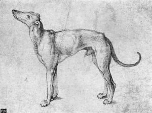 Albrecht Durer - Greyhound