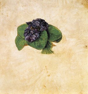 Albrecht Durer - Violet Bouquet