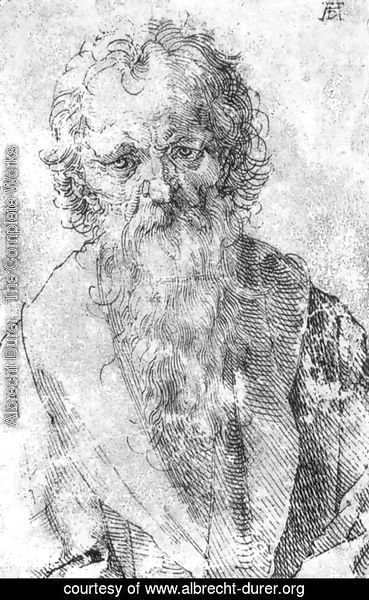 Albrecht Durer - Bearded Man