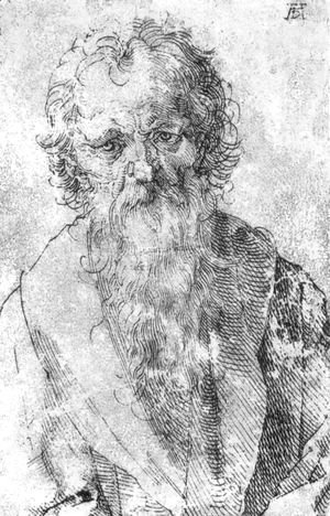 Albrecht Durer - Bearded Man