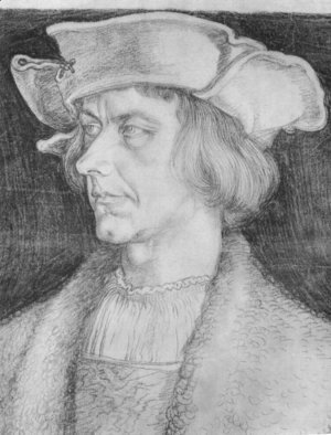 Albrecht Durer - Portrait of a man (Paul Hofhaimer or Hans Tucher)