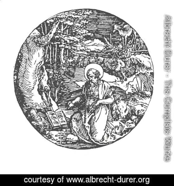 Albrecht Durer - Saint Jerome 2