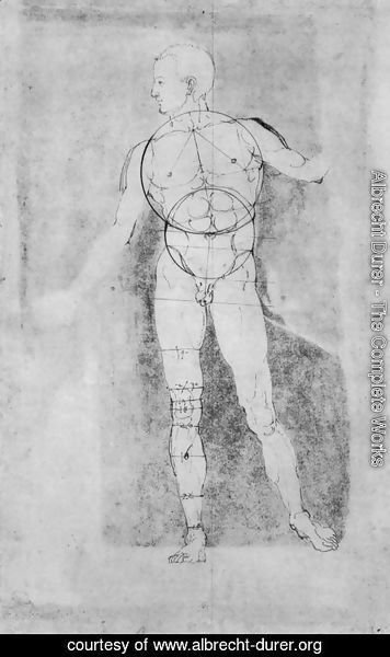 Albrecht Durer - Male Nude (Adam)