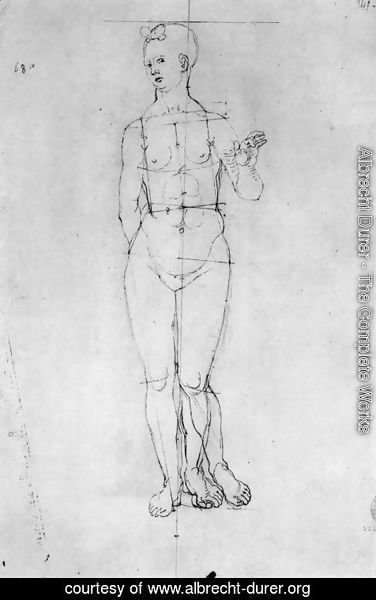 Albrecht Durer - Female Nude