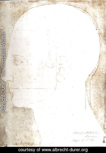 Albrecht Durer - Man's head in profile