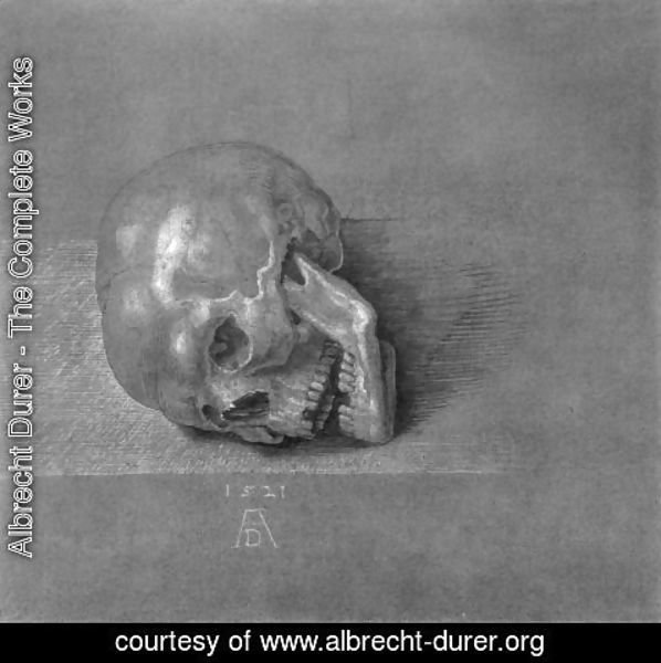 Albrecht Durer - Skull