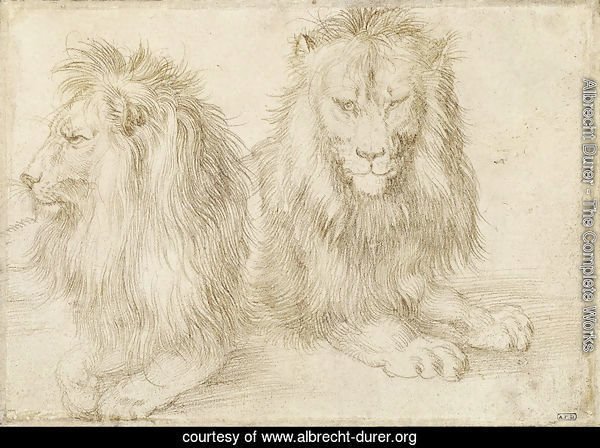 Two seated lions
