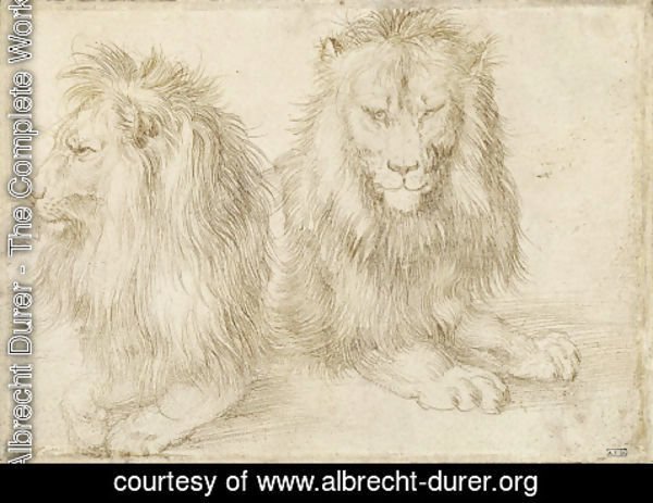 Albrecht Durer - Two seated lions