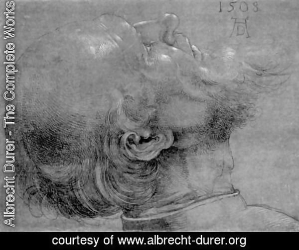 Albrecht Durer - Head of an apostle 2