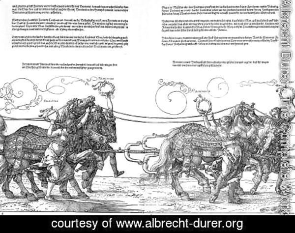 Albrecht Durer - Unknown 8