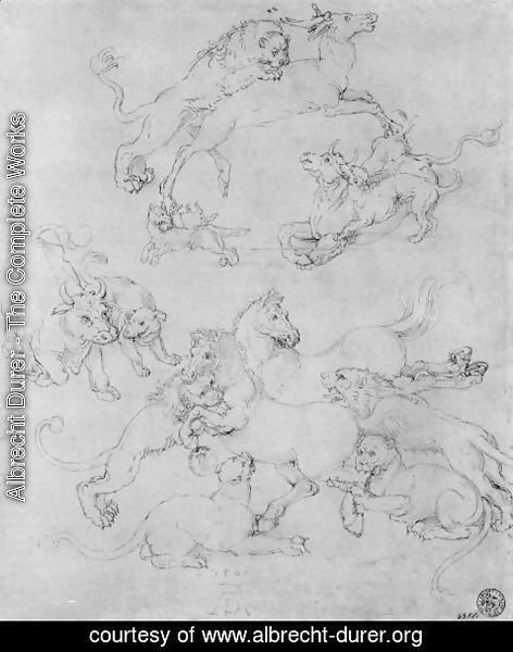 Albrecht Durer - Study sheet with the attacked animals
