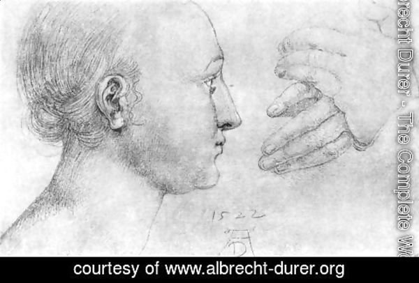 Albrecht Durer - Studies on a great picture of Mary   girl's head and pair of hands