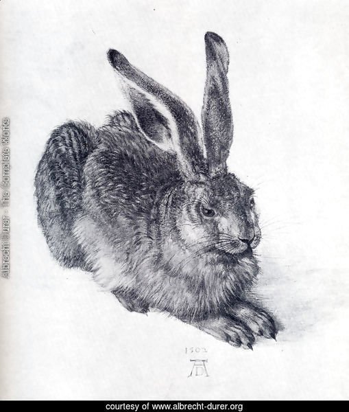 Young Hare