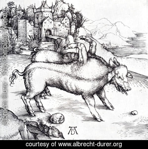Albrecht Durer - The Monstrous Sow Of Landser